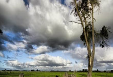 2025年“超越·爱”公益行首站走进临沭.