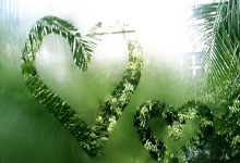 佩雷拉回应作弊和伤病传言!应战复仇战.