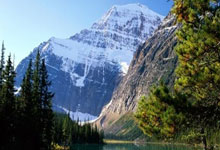 家有一老!霍福德18中9&三分13中6砍下全队最高26分 领先9板2助.