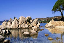 1胜2平!国安中超开局惨淡,塞蒂恩看齐国足伊万,不出10轮恐下课.